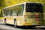 Golden Bus 4