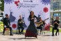 Flamencomania 7