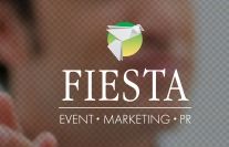 FST consulting