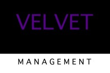Velvet Management
