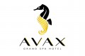 Grand Spa Hotel Avax