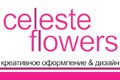 Celeste flowers