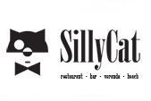 SillyCat