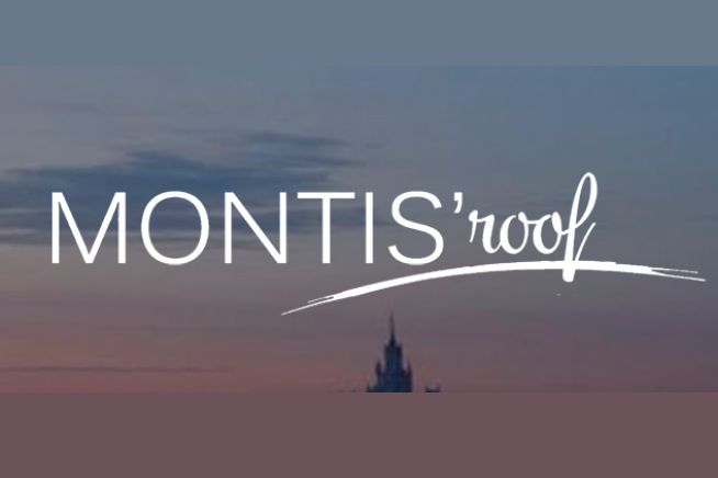 Montis roof
