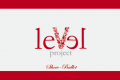 Level-project