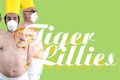 Tiger Lillies